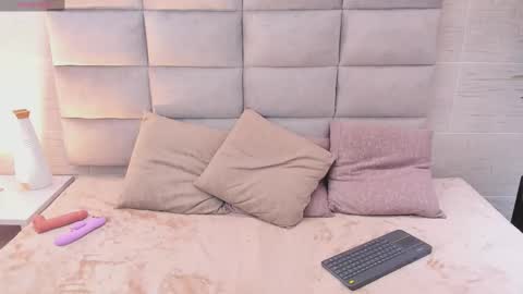 Snapshot of seikibee chatting on February 2026 03:46:02 AM seikibee online show from February 2026 03:46:02 AM