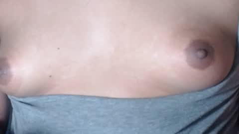 Selda online show from February 2026 01:18:01 PM