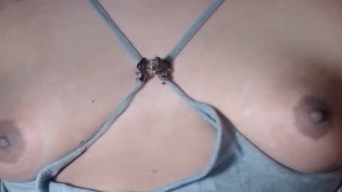 Selda online show from February 2026 07:51:02 AM