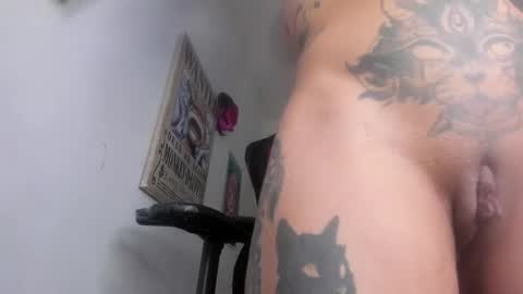 Snapshot of selina_kyl3 chatting on January 2025 12:37:02 AM Selinna Kyle online show from January 2025 12:37:02 AM