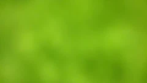 sens3439 online show from November 2025 08:36:02 AM