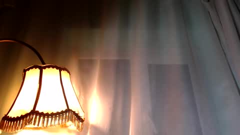 SevenDragons online show from February 2026 06:11:01 PM