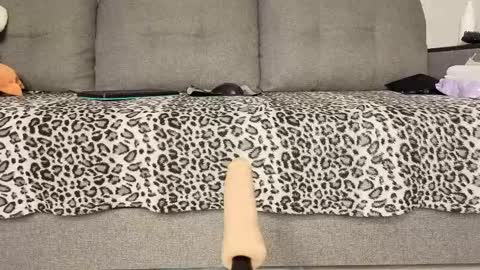 Xenia online show from March 2026 06:56:01 PM