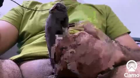 Snapshot of sexmachine4ubabes chatting on December 2024 03:50:02 AM sexmachine4ubabes online show from December 2024 03:50:02 AM