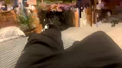 sexpest32 online show from January 2026 09:07:02 PM