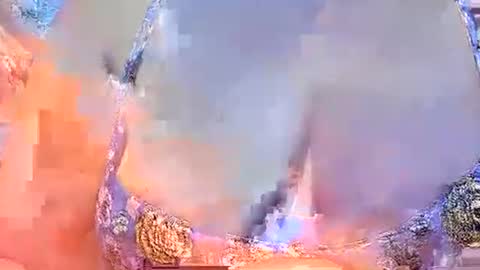 Snapshot of sexxyicee69 chatting on March 2025 10:45:02 AM misslovely j online show from March 2025 10:45:02 AM