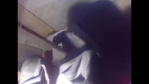 sexy15802 online show from January 2025 07:03:01 AM