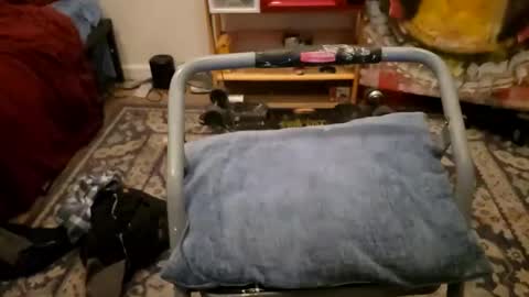 Cayden online show from January 2025 11:58:02 AM