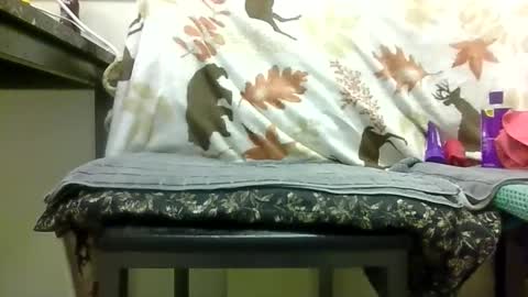 Snapshot of sexy_white_daddy chatting on February 2026 06:59:02 PM Daddy online show from February 2026 06:59:02 PM