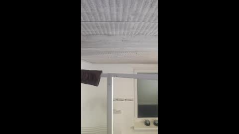 sexycam073 online show from December 2025 05:41:01 PM