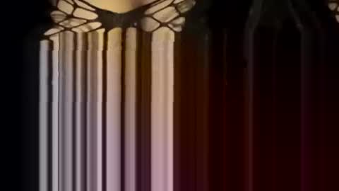 Forever Erotica online show from January 2026 04:23:02 PM