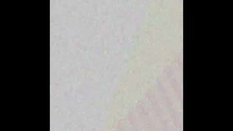 Possum online show from September 2025 07:46:02 AM