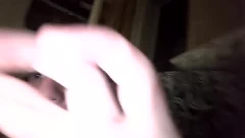 Snapshot of shamilka93 chatting on September 2025 07:59:01 PM Shamilka online show from September 2025 07:59:01 PM