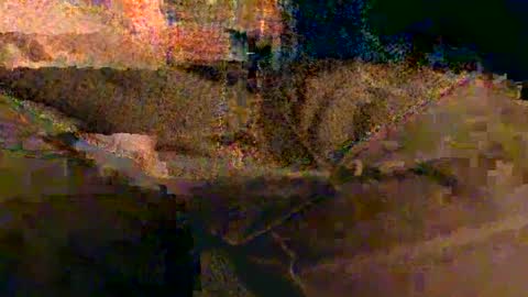 Snapshot of shapelyhelm1 chatting on February 2025 08:10:01 AM shapelyhelm1 online show from February 2025 08:10:01 AM