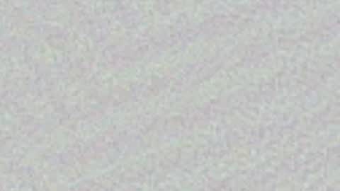 Snapshot of shawntheone3535b chatting on May 2026 02:49:01 AM shawntheone online show from May 2026 02:49:01 AM