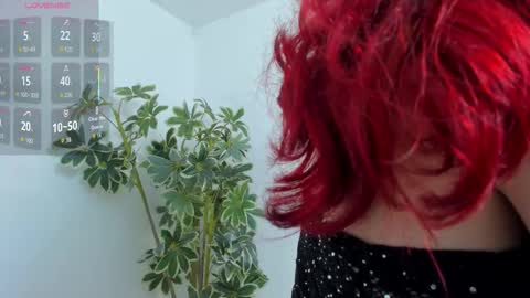 Shego  online show from December 2025 12:50:02 AM