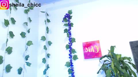 Snapshot of sheila_bigcok chatting on December 2024 10:52:01 PM SHEILA  online show from December 2024 10:52:01 PM