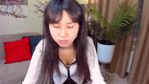 Sheila online show from December 2024 04:54:02 AM