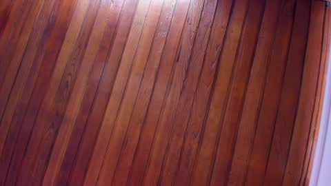 Snapshot of sherydan_love chatting on January 2025 02:13:01 PM mia online show from January 2025 02:13:01 PM