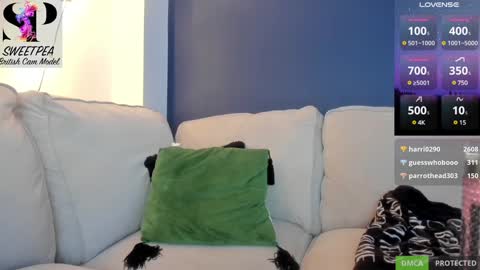 short sweetpea online show from December 2024 08:54:02 PM