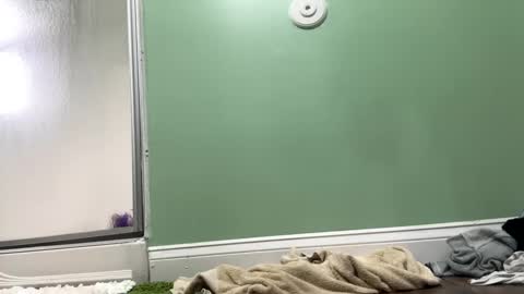 Sasha online show from February 2025 09:36:01 PM