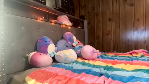 Sasha online show from November 2025 02:30:01 PM