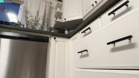 Snapshot of shygingerpnw chatting on October 2025 01:49:02 AM shygingerpnw online show from October 2025 01:49:02 AM