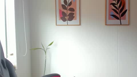 shylittlebunny online show from May 2026 03:09:02 PM