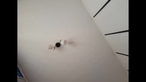 simpledi online show from March 2025 07:42:02 AM