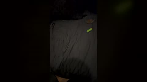 Snapshot of simsimeon chatting on March 2026 01:35:02 PM simsimeon online show from March 2026 01:35:02 PM