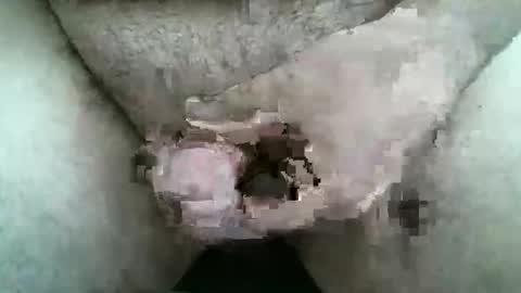 Snapshot of singlestr8man chatting on March 2026 12:09:01 PM HardNSouthern online show from March 2026 12:09:01 PM