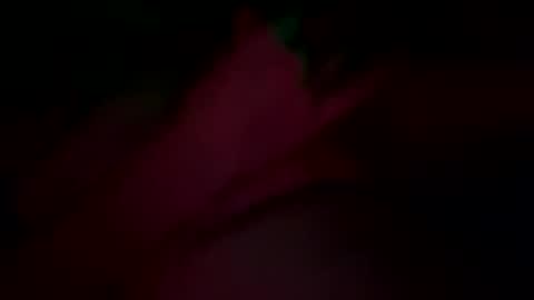Snapshot of sir04 chatting on September 2025 12:38:01 AM sir04 online show from September 2025 12:38:01 AM