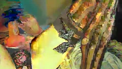 Snapshot of sir__loin411 chatting on February 2025 05:07:02 PM Sir Loin online show from February 2025 05:07:02 PM