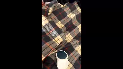 sirgalaxy online show from November 2025 01:46:01 PM