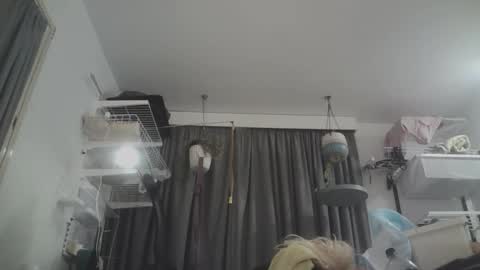 Snapshot of sissyboilooking chatting on March 2026 10:41:01 AM RESPONDS WELL TO ... online show from March 2026 10:41:01 AM