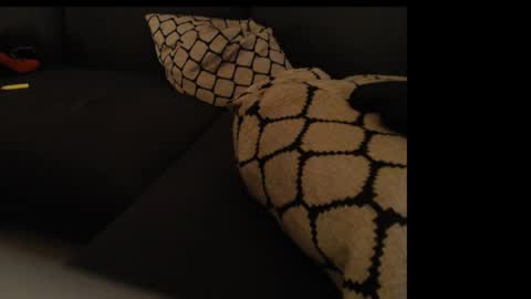 sissygirlalexandra online show from January 2025 01:31:01 AM