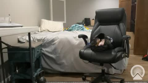 Snapshot of sissyryan3 chatting on January 2025 12:46:02 AM sissyryan3 online show from January 2025 12:46:02 AM