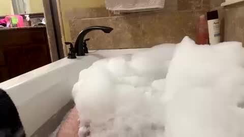 sitonmyhardinches online show from October 2025 02:50:01 PM