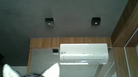 skinnykittencam online show from October 2025 11:51:02 AM