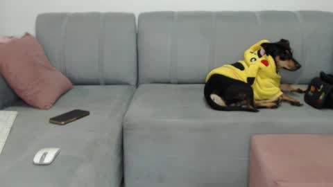 Snapshot of skinnylatin69 chatting on February 2025 02:26:01 AM skinnylatin69 online show from February 2025 02:26:01 AM