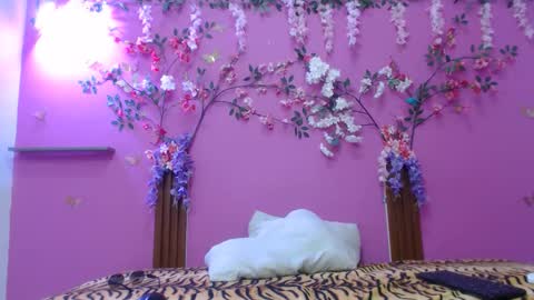 sofia online show from February 2026 01:16:01 PM