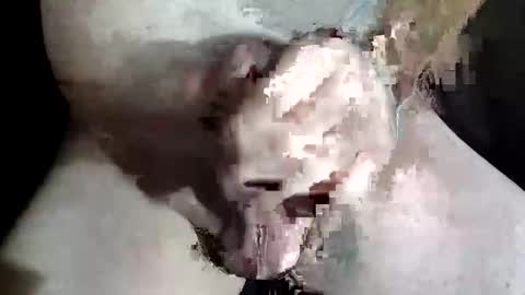 Z online show from December 2025 08:48:02 PM