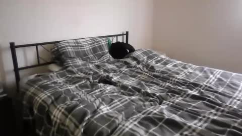 Snapshot of slavemike301 chatting on May 2026 12:02:01 PM slavemike301 online show from May 2026 12:02:01 PM
