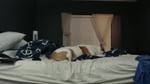 slimjp online show from February 2026 02:26:01 AM