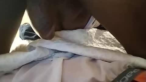 Snapshot of slutic chatting on November 2025 06:57:02 PM Took online show from November 2025 06:57:02 PM