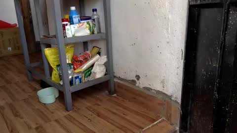 Skillibengisaadboy online show from February 2026 07:23:02 AM