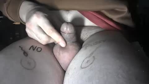 pussyfree4eva online show from December 2024 07:56:01 PM