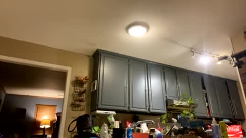 smokeymt420 online show from February 2025 09:37:01 AM