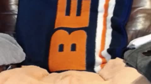 CJ online show from February 2025 02:00:01 PM