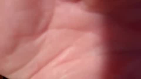 Snapshot of snooty05 chatting on February 2025 10:51:01 PM Snooty online show from February 2025 10:51:01 PM